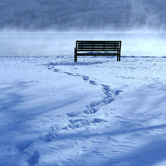 2300216_4_footprints_in_the_snow.jpg