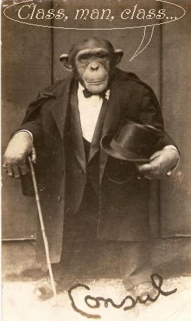 ConsulTheVaudevilleChimp_ca1909.JPG