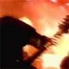 9602.gif