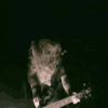 music_anim100x100_12.gif