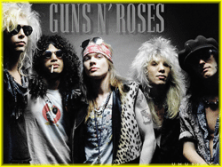 gnr.gif