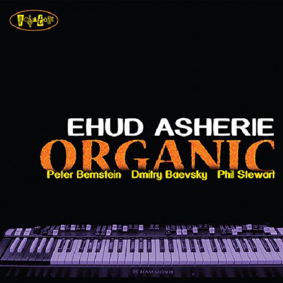 Copy_of_cover.jpg