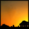 avatar_318.gif