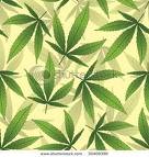 marihuana.jpg
