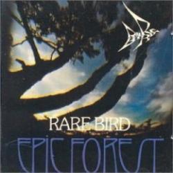 rare_bird_epic_forest_1972_1.jpg