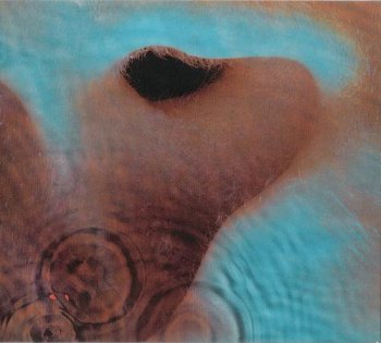 1317971382_meddle.jpg