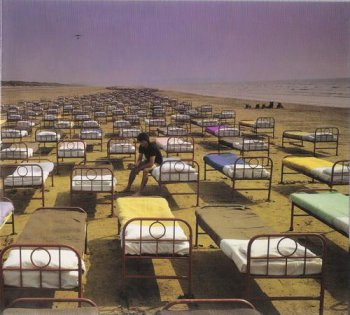 1317970263_a_momentary_lapse_of_reason.jpg