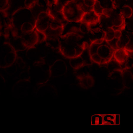 osi_blood.jpg
