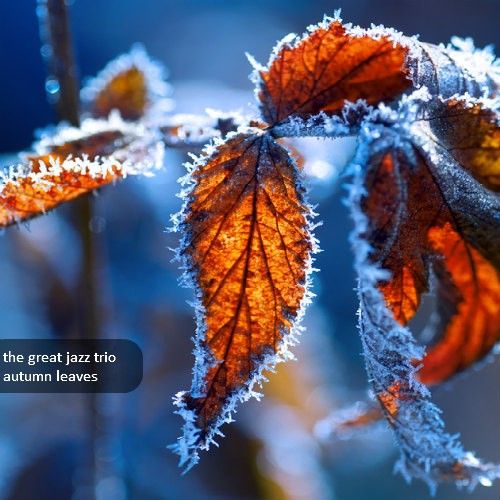 1294050917_the_great_jazz_trio_autumn_leaves.jpg