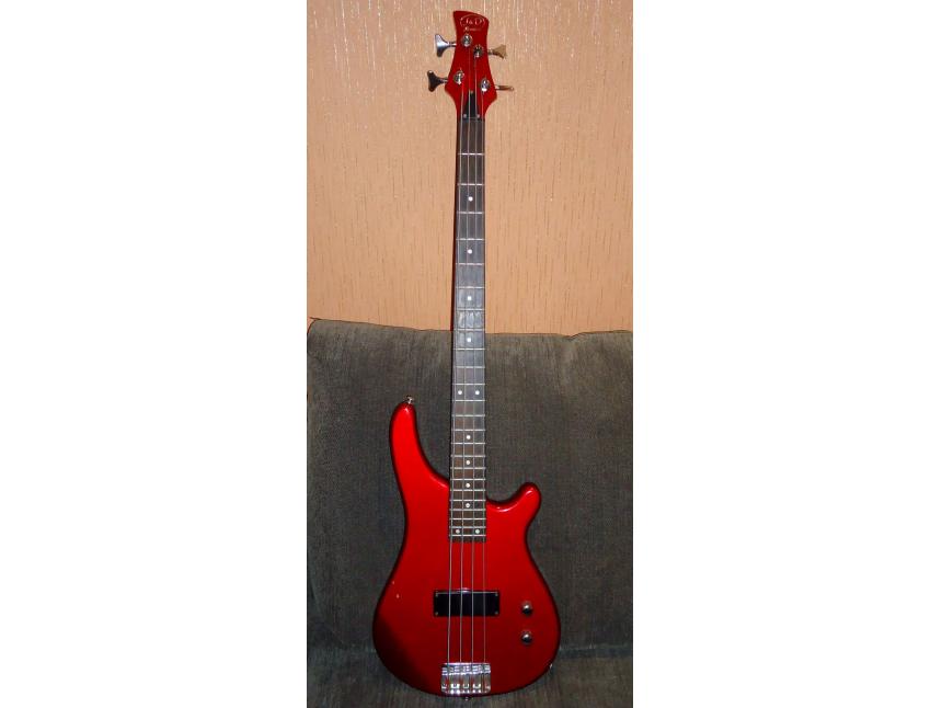 Bass_dima.jpg