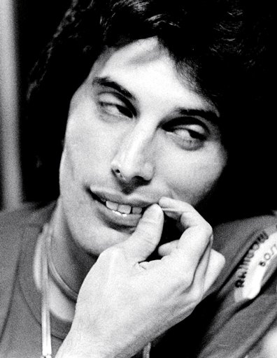 Freddie_Mercury_freddie_mercury_14421305_396_512.jpg