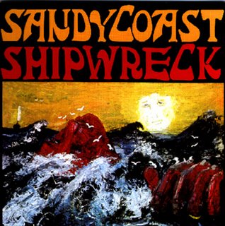 sandycoast_shipwreck.jpg