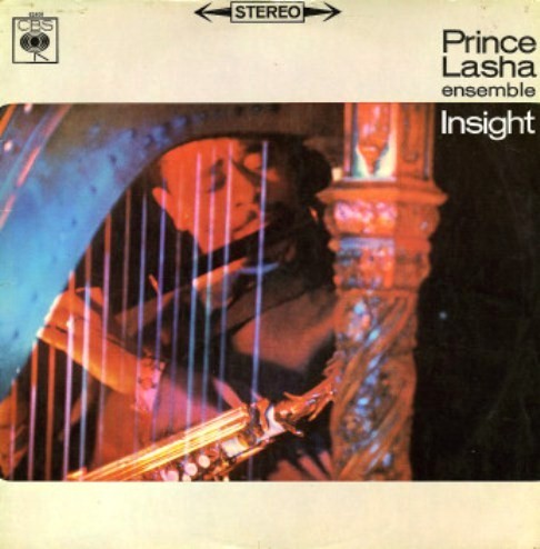 lasha_princ_insight___101b.jpg