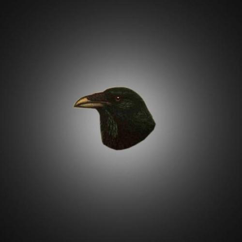 postrock_raven.jpeg