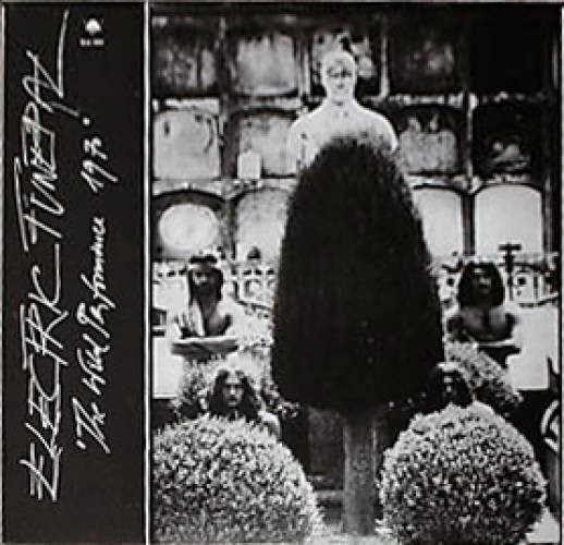 The_Wild_Performance_1970.jpg