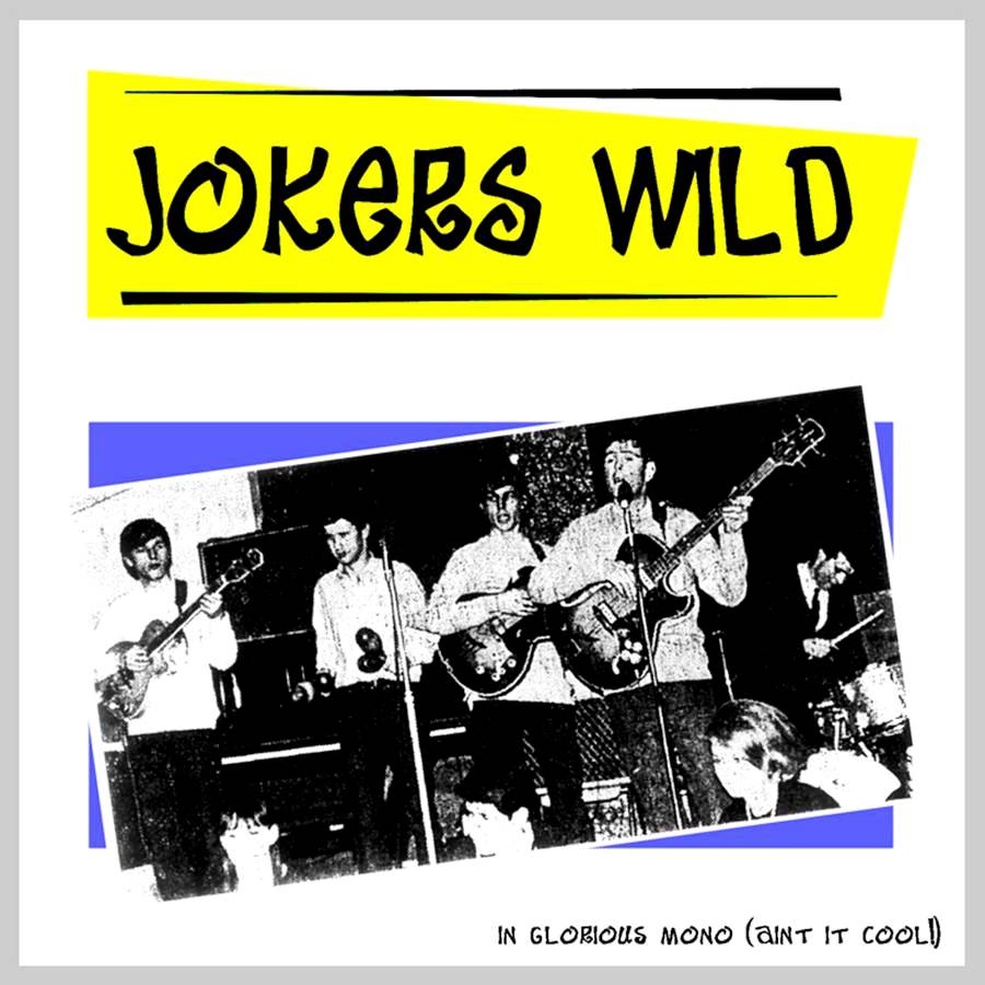 David_Gilmour___Jokers_Wild___Front.jpg