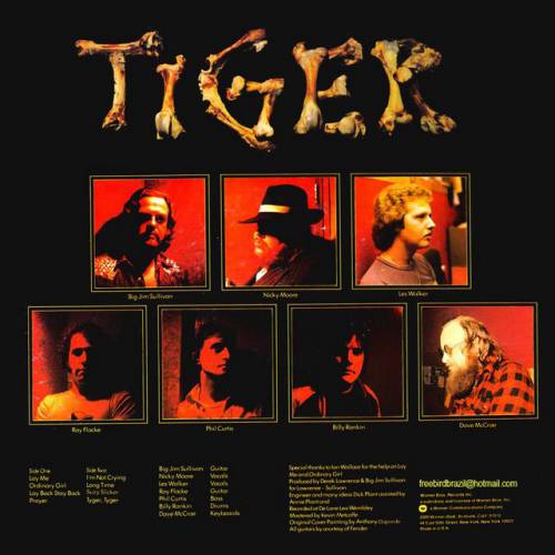 ftiger7413206515ca7ed650c479.jpg