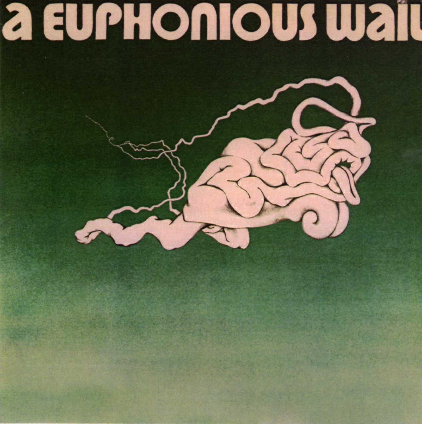 A_Euphonious_Wail___1973.jpg