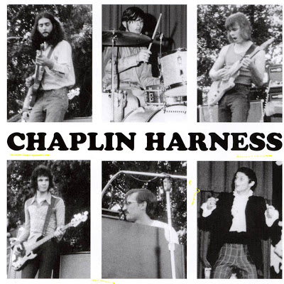 Chaplin_Harness___Inside.jpg