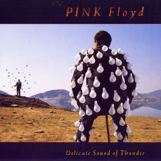 pink_floyd_delicate_sound_of_thunder.jpg
