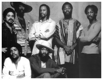 mandrill_group.jpg
