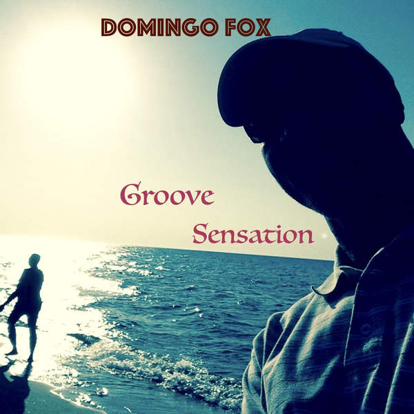 Domingo_Fox___Groove_Sensation__2016_.jpeg