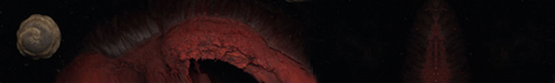 0_0__528_N.png