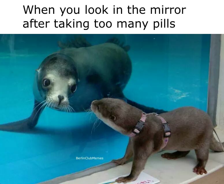 FB_IMG_1519333216875.jpg