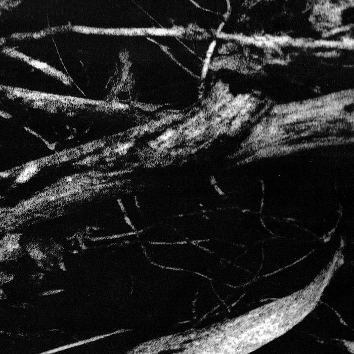 a0598672468_65.jpeg