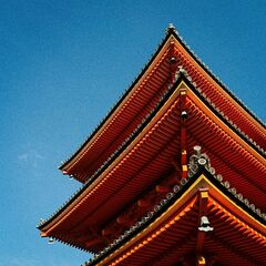 6854f99194fff_2.jpg