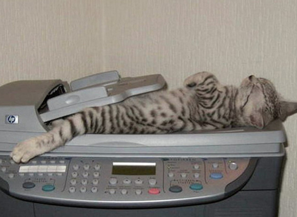 cat_scanner.jpg