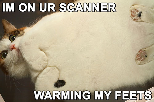 scanner_warming_feets_cat.jpg