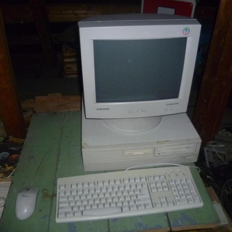 486.jpg