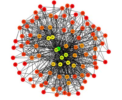 network.jpg