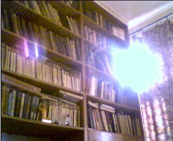suqi.jpg