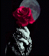 rose.gif