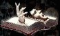 13.gif