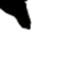 1620.gif