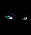 003.gif