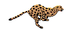 av_664.gif