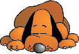 DOGGY.gif