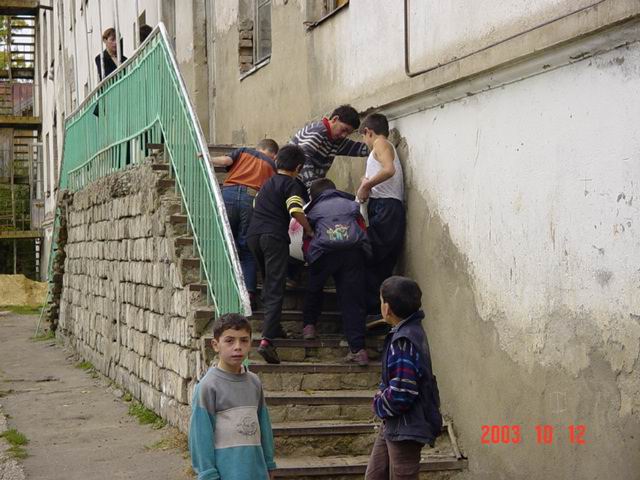 Picture_1102.jpg