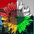 logo_sun.jpg