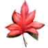 logo_leaf.jpg