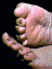 2003731154840_bfx256pd.gif