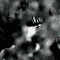 isobel_02.gif