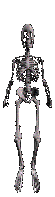 jump_e0.gif