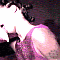 pm_04.gif