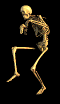 insolite_169.gif