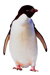 Linux.jpg